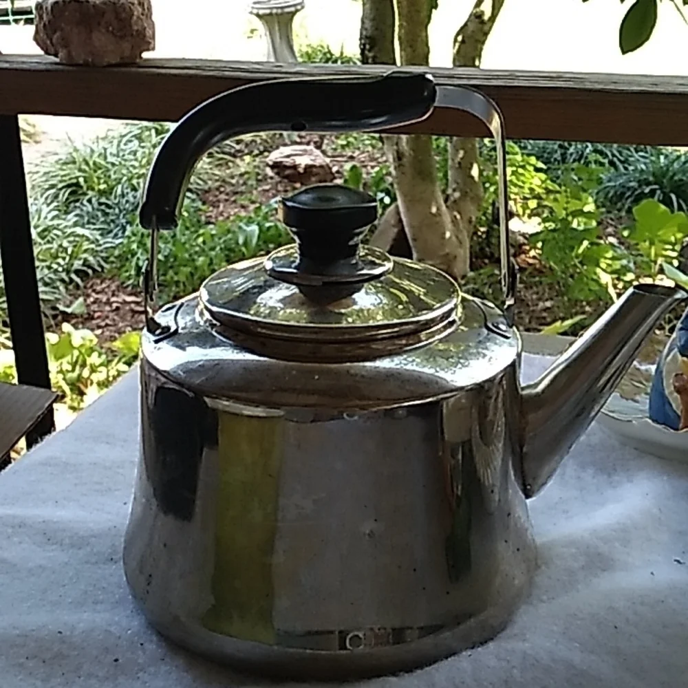 Potobelo tea kettle stainless steel